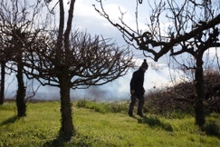 #title, #description