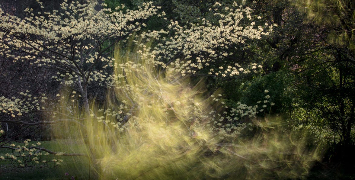 exposition jardin des sables, Francois Golfier photographe interprète